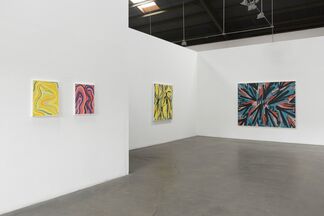 Russell Tyler - Altered State, installation view