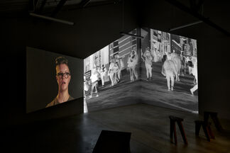 Doug Hall: Song of Ourselves (After Walt Whitman), installation view