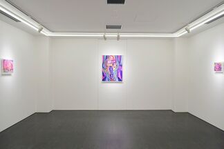 HUANG YUXING: The Lake of Barking Infants, installation view