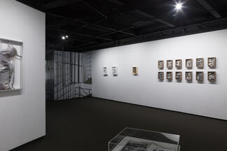 The New Nature, installation view