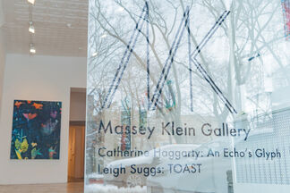 Catherine Haggarty: An Echo's Glyph, installation view