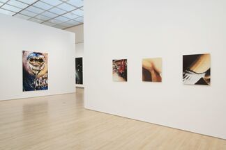 Marilyn Minter: Pretty/Dirty, installation view