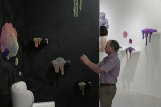 Dan Lam: Coquette, installation view