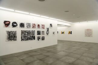 Carlos Vergara | Recent Works, installation view