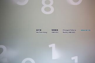 Divergent Paths to Reality 1980–2011, installation view
