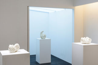 Tomomi Tanaka: Integrated Form, installation view