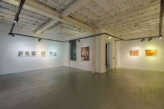A Season in Hell, installation view