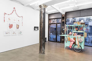 Crossing the Wild Line, installation view