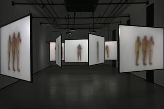 All that beauty, installation view