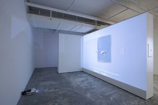 Everyday Hypothesis, installation view