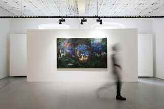 The Disaster Takes Care Of Everything, installation view