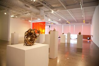Rogue Objects | JJ PEET and Rob Rhee, installation view