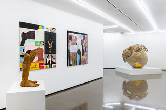 Humoral Theory, installation view