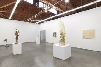 Materia Medica, Curated by Kelly Akashi, installation view