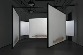 All that beauty, installation view