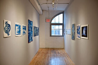 On the Wall: Cyanotypes, installation view