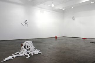 Colony, installation view