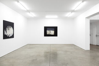 Rudolf Baranik: Napalm Elegies (Paintings 1967-74), installation view