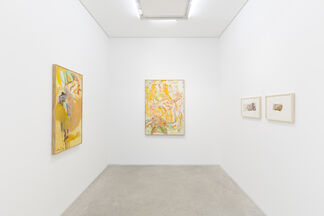Jorge Guinle | All in all, installation view