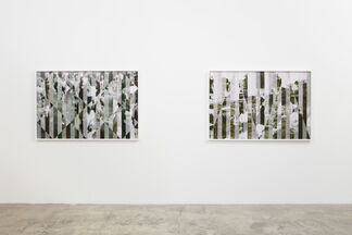 PAUL ANTHONY SMITH:  Containment, installation view