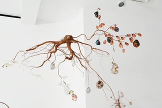 Jesse Krimes: Strange Roots, installation view