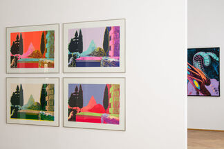 ANDY WARHOL - Paintings and Works on Paper, installation view
