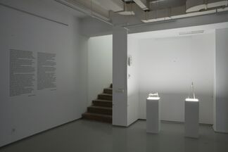 Reflected Action, installation view