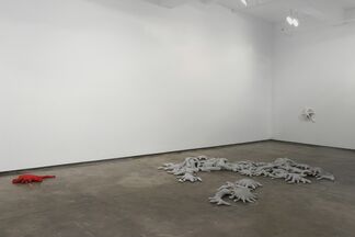 Colony, installation view