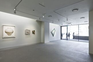 Believing is Seeing, installation view