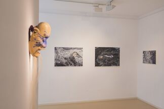 Waves and Emotions, installation view