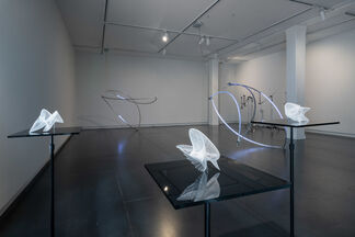 Frequencies of Opacity, installation view