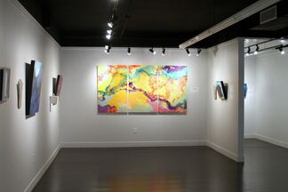 Dual Inspiration, installation view