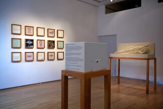 THE PROPELLER GROUP: THE HISTORY OF THE FUTURE, installation view