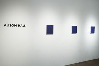 Robert Sagerman and Alison Hall, installation view