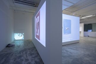 Everyday Hypothesis, installation view