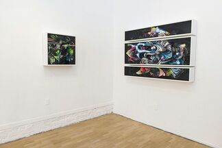 Crystal Wagner: "Microcosm", installation view