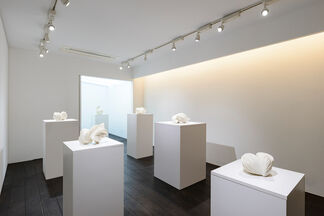 Tomomi Tanaka: Integrated Form, installation view