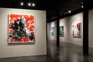 Portrait of a Mark - Shawn Serfas solo exhibition, installation view