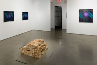 Nadia Ayari: Bricks, installation view