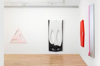Blair Thurman 'Mature Blonde', installation view