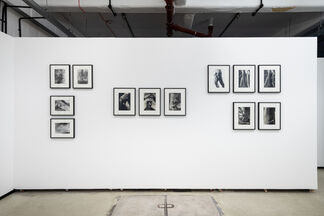 Let X=X: Alair Gomes and Hudinilson Jr., installation view