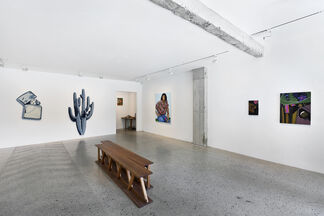 Reflections: Human/Nature, installation view