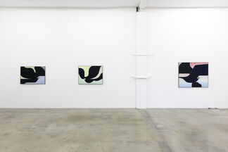 Anthony Miler: Witness, installation view
