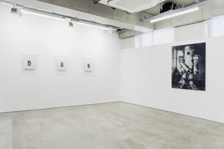 Aging Painting, installation view