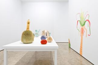 The Haas Brothers: Animalia, installation view