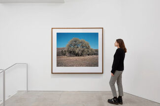Wim Wenders - In Times of Solitude, installation view