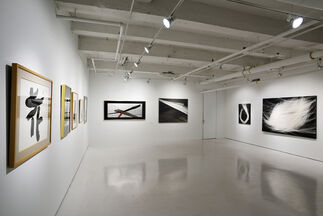 Sumi: Japanese Ink Painting from Post-War to the Present, installation view