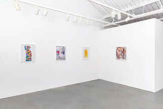 I Fucking Love You, installation view