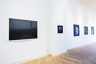 Of the World We Share: Ten Works in Slow Time by Craigie Horsfield, installation view