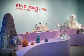 King Dong Come, installation view